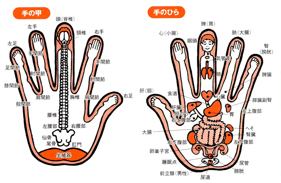 手 の ツボ 図解