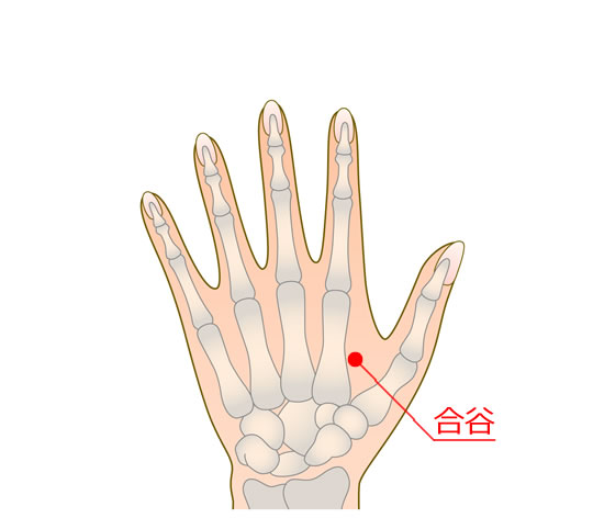 ツボ 図解 の 手