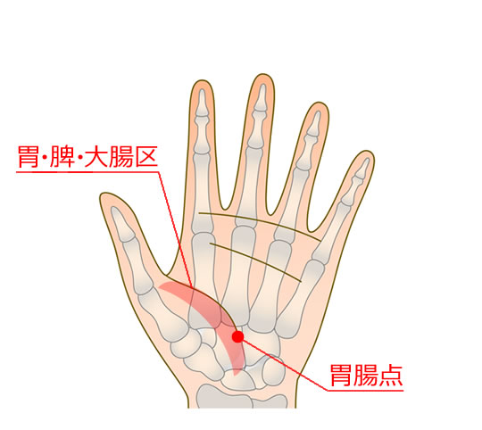 が の 胃 痛い ツボ 時 手のツボ図解15選！親指付け根（合谷）が痛いときは疲れのサイン？