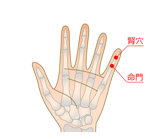 手 の ツボ 図解