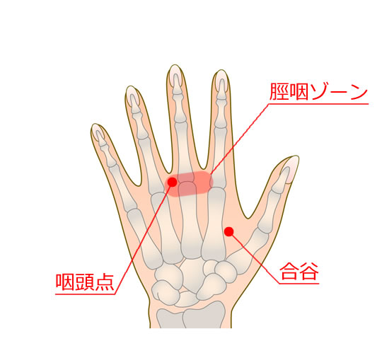 が の 胃 痛い ツボ 時 鍼灸師に聞いた！腰痛に効く「つぼ（ツボ）」～症状別おすすめのツボも紹介